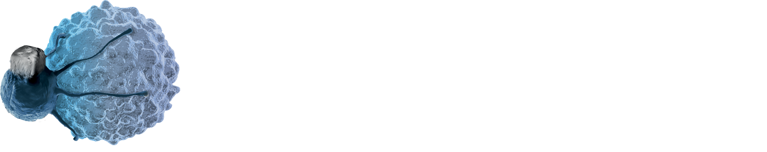 HW260224 9th International Neoantigen Summit logo W